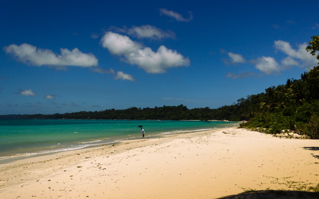 Photograph of a beach in the Andaman and Nicobar Islands of India