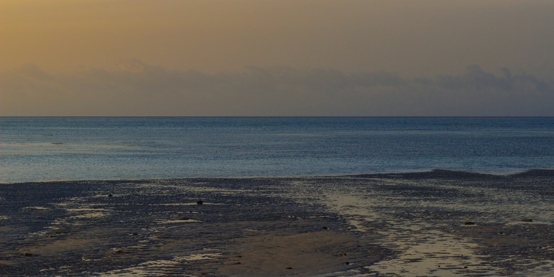 Photograph of a beach at dawn